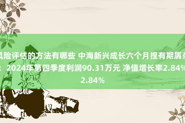 风险评估的方法有哪些 中海新兴成长六个月捏有期羼杂：2024年第四季度利润90.31万元 净值增长率2.84%