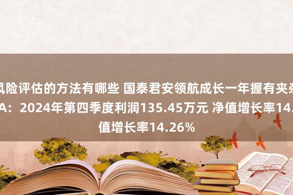 风险评估的方法有哪些 国泰君安领航成长一年握有夹杂发起A：2024年第四季度利润135.45万元 净值增长率14.26%