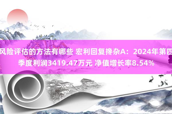 风险评估的方法有哪些 宏利回复搀杂A：2024年第四季度利润3419.47万元 净值增长率8.54%