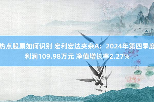 热点股票如何识别 宏利宏达夹杂A：2024年第四季度利润109.98万元 净值增长率2.27%