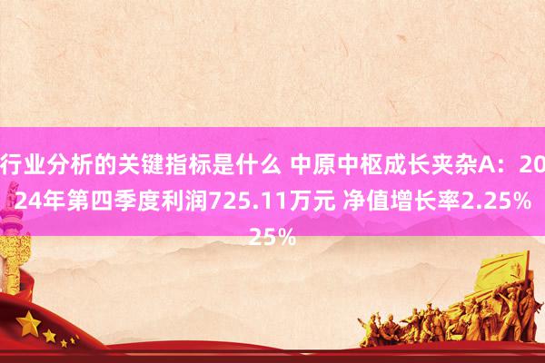 行业分析的关键指标是什么 中原中枢成长夹杂A：2024年第四季度利润725.11万元 净值增长率2.25%