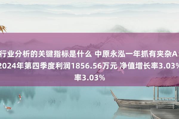 行业分析的关键指标是什么 中原永泓一年抓有夹杂A：2024年第四季度利润1856.56万元 净值增长率3.03%