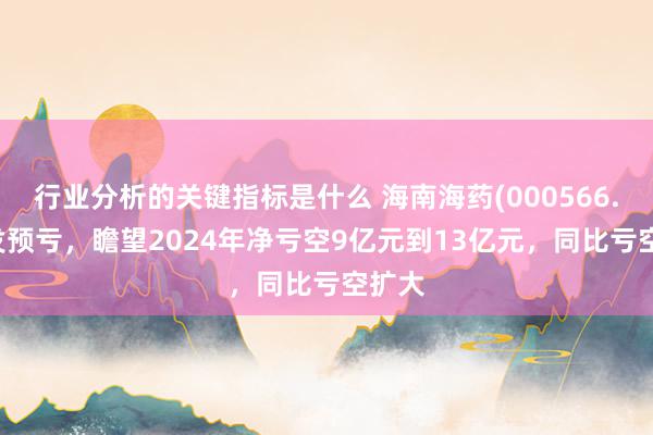 行业分析的关键指标是什么 海南海药(000566.SZ)发预亏，瞻望2024年净亏空9亿元到13亿元，同比亏空扩大