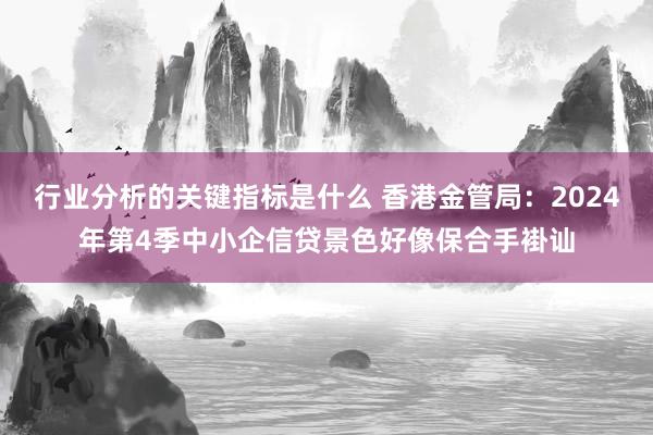 行业分析的关键指标是什么 香港金管局：2024年第4季中小企信贷景色好像保合手褂讪