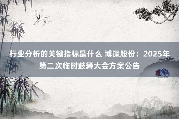 行业分析的关键指标是什么 博深股份：2025年第二次临时鼓舞大会方案公告