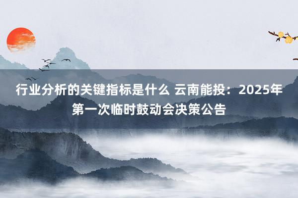 行业分析的关键指标是什么 云南能投：2025年第一次临时鼓动会决策公告