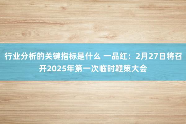 行业分析的关键指标是什么 一品红：2月27日将召开2025年第一次临时鞭策大会