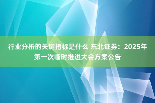 行业分析的关键指标是什么 东北证券：2025年第一次临时推进大会方案公告