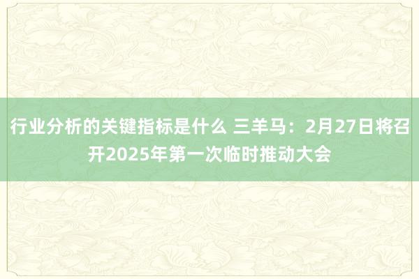 行业分析的关键指标是什么 三羊马：2月27日将召开2025年第一次临时推动大会