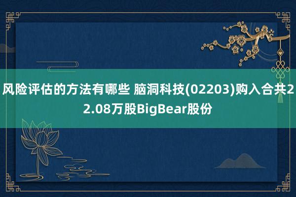 风险评估的方法有哪些 脑洞科技(02203)购入合共22.08万股BigBear股份