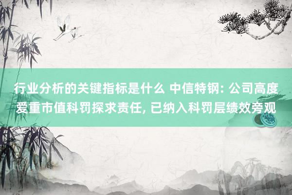 行业分析的关键指标是什么 中信特钢: 公司高度爱重市值科罚探求责任, 已纳入科罚层绩效旁观