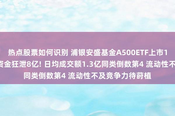 热点股票如何识别 浦银安盛基金A500ETF上市1个月限制腰斩, 资金狂泄8亿! 日均成交额1.3亿同类倒数第4 流动性不及竞争力待莳植