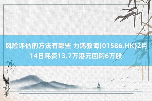 风险评估的方法有哪些 力鸿教诲(01586.HK)2月14日耗资13.7万港元回购6万股