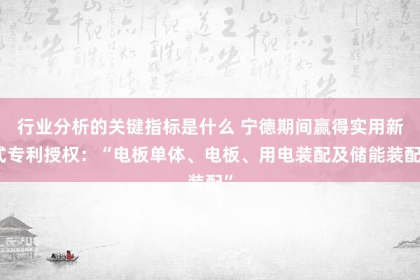 行业分析的关键指标是什么 宁德期间赢得实用新式专利授权：“电板单体、电板、用电装配及储能装配”