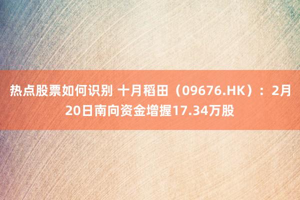 热点股票如何识别 十月稻田（09676.HK）：2月20日南向资金增握17.34万股