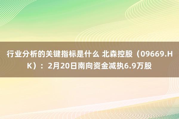 行业分析的关键指标是什么 北森控股（09669.HK）：2月20日南向资金减执6.9万股