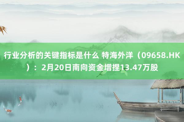 行业分析的关键指标是什么 特海外洋（09658.HK）：2月20日南向资金增捏13.47万股