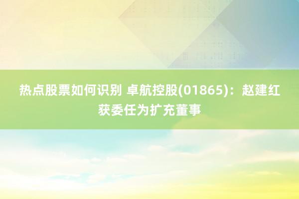 热点股票如何识别 卓航控股(01865)：赵建红获委任为扩充董事