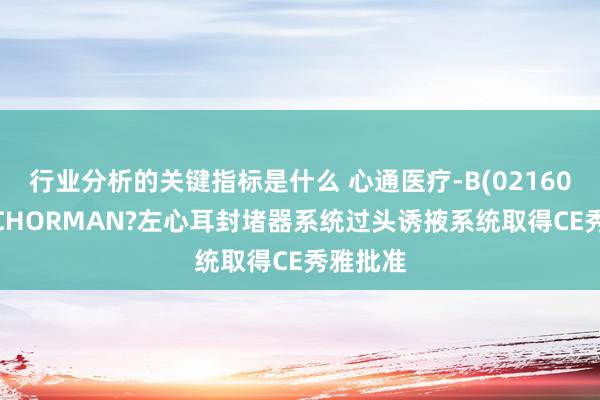 行业分析的关键指标是什么 心通医疗-B(02160)：ANCHORMAN?左心耳封堵器系统过头诱掖系统取得CE秀雅批准