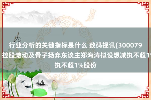 行业分析的关键指标是什么 数码视讯(300079.SZ)：控股激动及骨子扬弃东谈主郑海涛拟设想减执不超1%股份