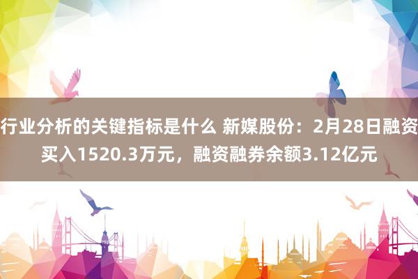 行业分析的关键指标是什么 新媒股份：2月28日融资买入1520.3万元，融资融券余额3.12亿元